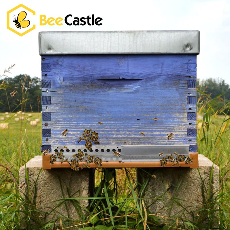 BeeCastle 4PCS Beehive Entrance Reducer and Mouse Guard,Beehive Sliding Mouse Guards for 8 or 10 Frame Bee Hive,No-Rust Stainless Steel Beekeeping Suppiles - Image 5